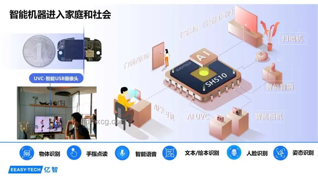 AI赋能教育，大家懂了吗？AI教育普及率,在线教育增长率,个性化学习方案,智能教育硬件